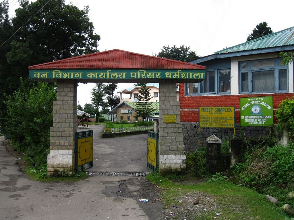 Forest Complex